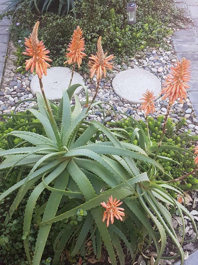 Aloe @ The Sea Apartment Mossel Bay Ngoại thất bức ảnh