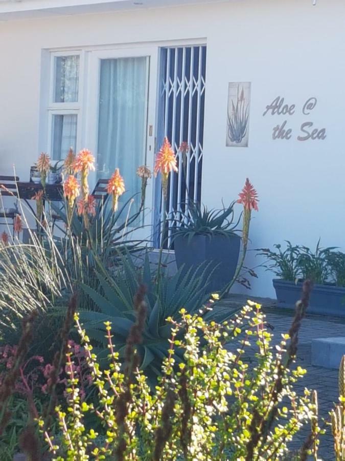 Aloe @ The Sea Apartment Mossel Bay Ngoại thất bức ảnh